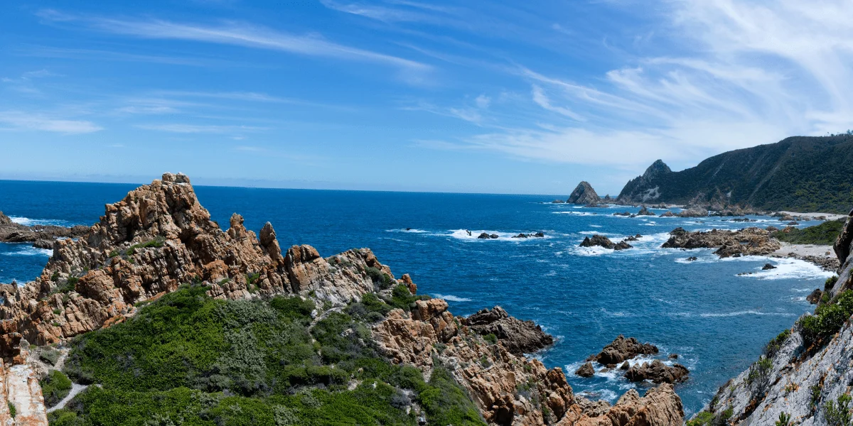 South Africa with safaris